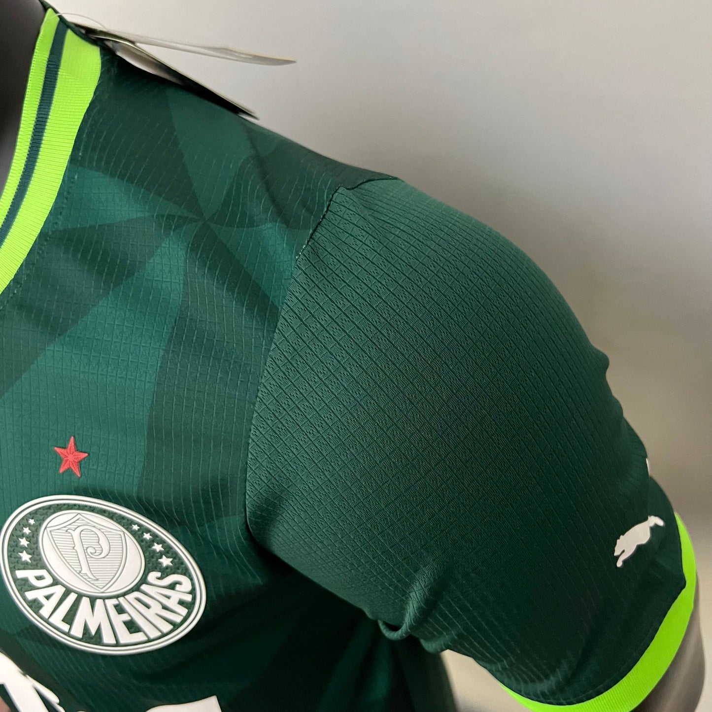 Camisa Jogador Palmeiras 2023/24 Home