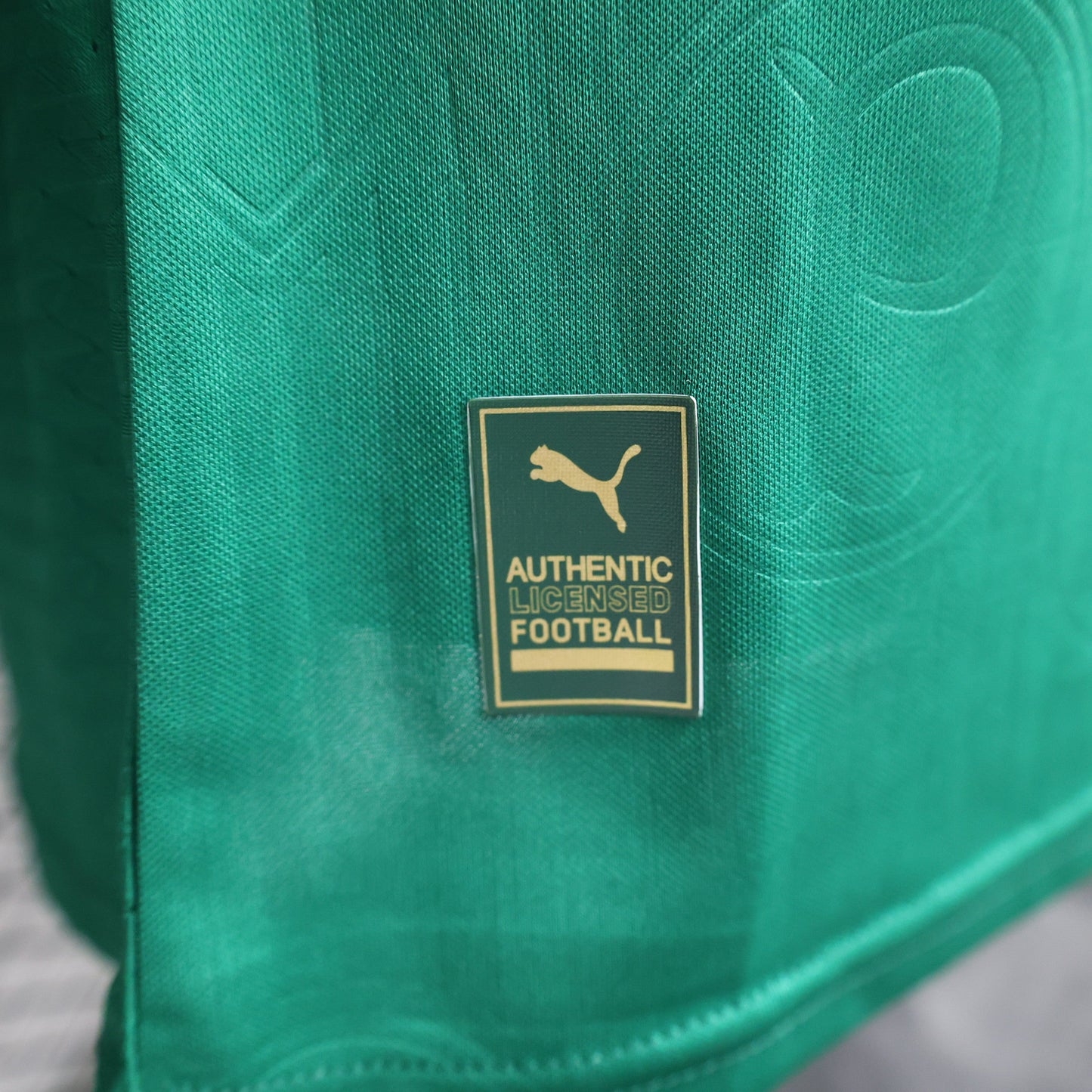 Camisa Jogador Palmeiras 2024/25 Home