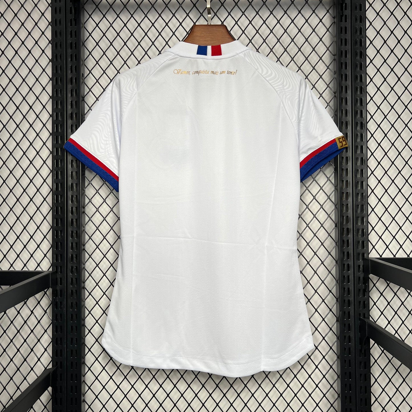 Camisa Feminina Bahia 2024/25 Home